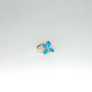 import placeholder for 5252